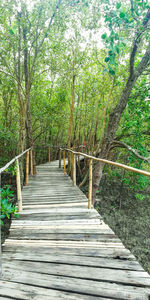 View of wooden footbridge in forest