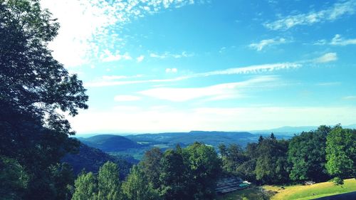 Scenic view of trees and mountains against sky