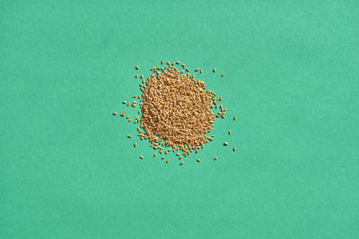 Directly above shot of flax seeds on table