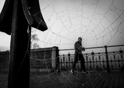 Close-up of spider web against sky