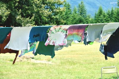 Clothes drying on field against trees