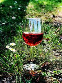 Close-up of wine in glass