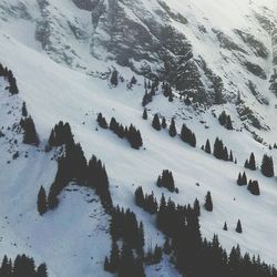 Scenic view of snow covered mountains