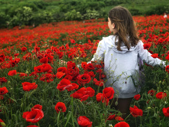 Rear view of woman standing by red flowering plants on field