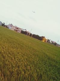 Houses on field against sky