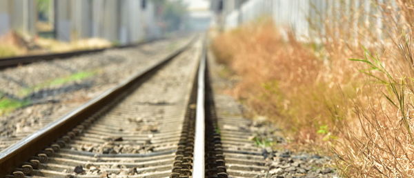 Surface level of railroad tracks