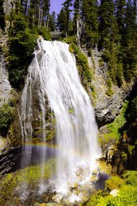Scenic view of waterfall in forest