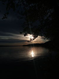 Silhouette tree on beach against sky during sunset