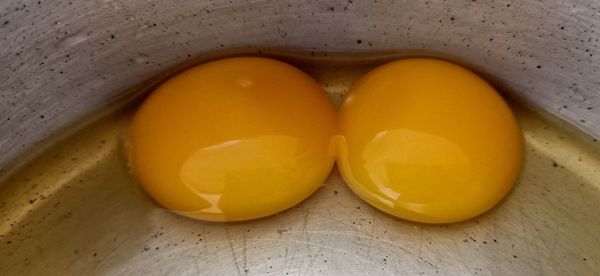 High angle view of yellow eggs on table