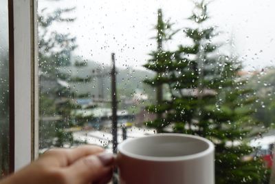 Woman holding coffee cup with glass of window