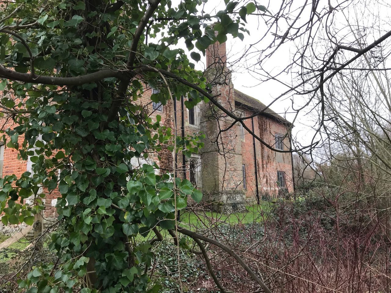 TREES AND ABANDONED BUILDING