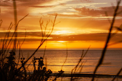 Scenic view of sea against orange sky