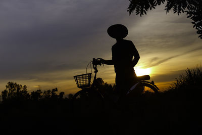 Silhouette man riding bicycle on tree against sky during sunset