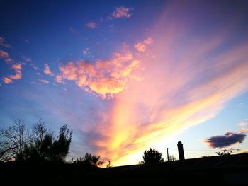 Silhouette trees against sky during sunset