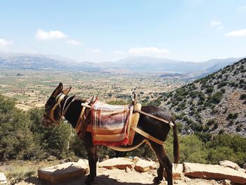 Panoramic view of a landscape