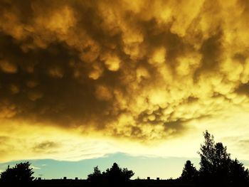 Silhouette of trees against dramatic sky