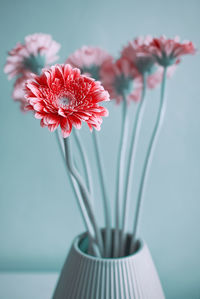 Closeup shot of beautiful delicate red flower in the vase on the table