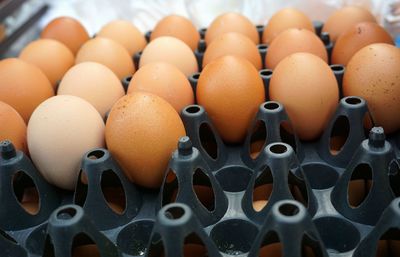 High angle view of eggs in container