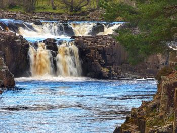 Scenic view of waterfall in forest