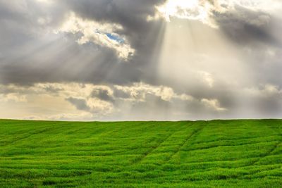 Scenic view of grassy field against cloudy sky