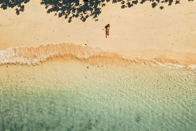 High angle view of man walking on beach