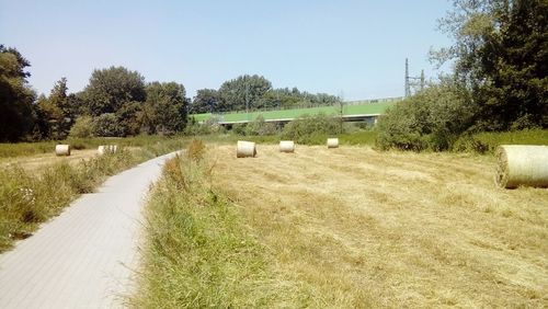 Hay bales on field against sky