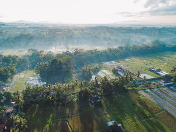 High angle view of agricultural field against sky