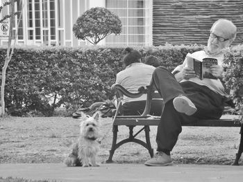 Dog and woman with dogs outdoors