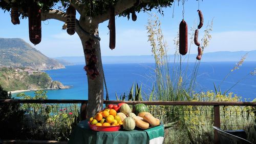 Fruits on tree by sea against clear sky