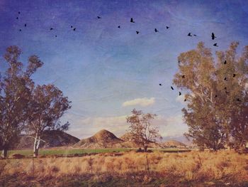 Flock of birds flying over white background