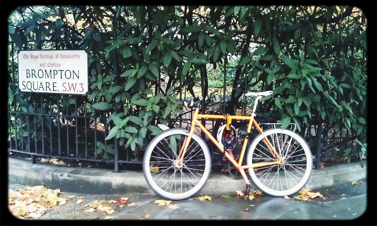 bicycle, transportation, plant, mode of transport, land vehicle, transfer print, stationary, growth, auto post production filter, parked, parking, wheel, outdoors, day, leaf, fence, wall - building feature, no people, nature, metal