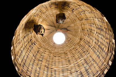 Low angle view of illuminated lamp against black background