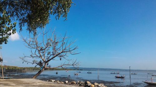 Scenic view of sea against clear blue sky