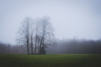 Bare trees on landscape against sky