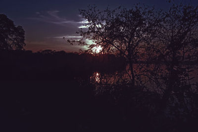 Silhouette trees in forest against sky at sunset