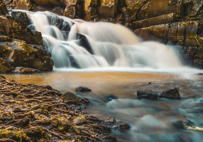 Scenic view of waterfall in forest