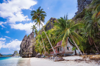 Palm trees on beach against sky