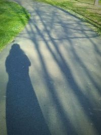 Shadow of people on road