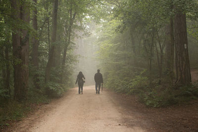 Rear view of people walking on road in forest