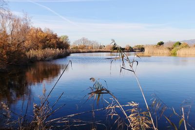 Scenic view of lake against sky