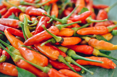 Close-up of red chili peppers