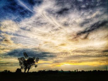 Silhouette trees on field against sky at sunset