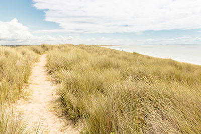 Customs path on a dune near a beach in the brittany region of france in summer