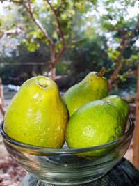 Close-up of fruits on table