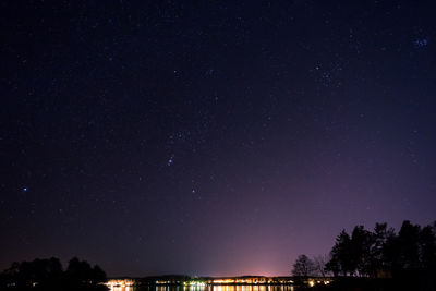 Low angle view of trees against sky at night