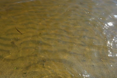 High angle view of a lake