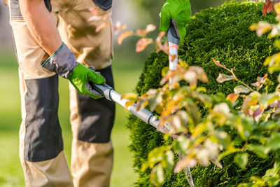 Rear view of man standing by plants