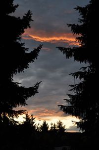 Low angle view of silhouette trees against sky during sunset