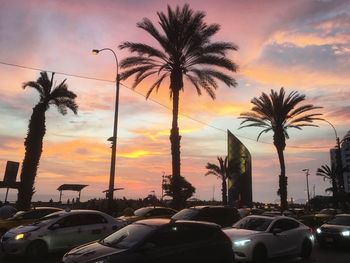 Silhouette palm trees against sky during sunset