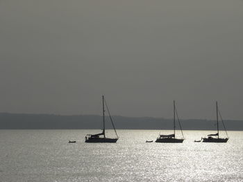 Sailboats sailing on sea against sky